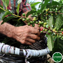 Cargar imagen en el visor de la galería, Café orgánico