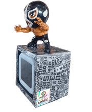 Cargar imagen en el visor de la galería, Luchador