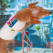 Cargar imagen en el visor de la galería, Ropita para perro
