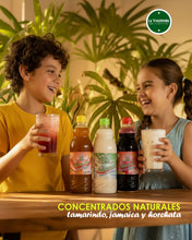 Cargar imagen en el visor de la galería, Concentrados naturales
