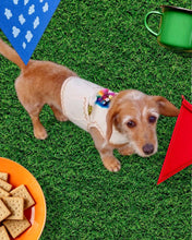 Cargar imagen en el visor de la galería, Ropita para perro
